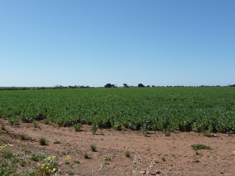 Sect 122, 448 & 449 Yorketown Road, Edithburgh SA 5583