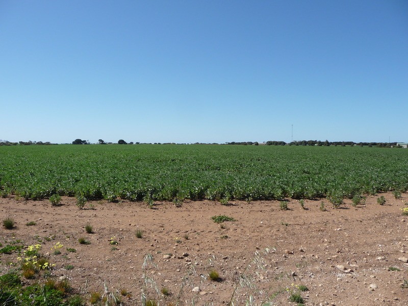 Sect 122, 448 & 449 Yorketown Road, Edithburgh SA 5583