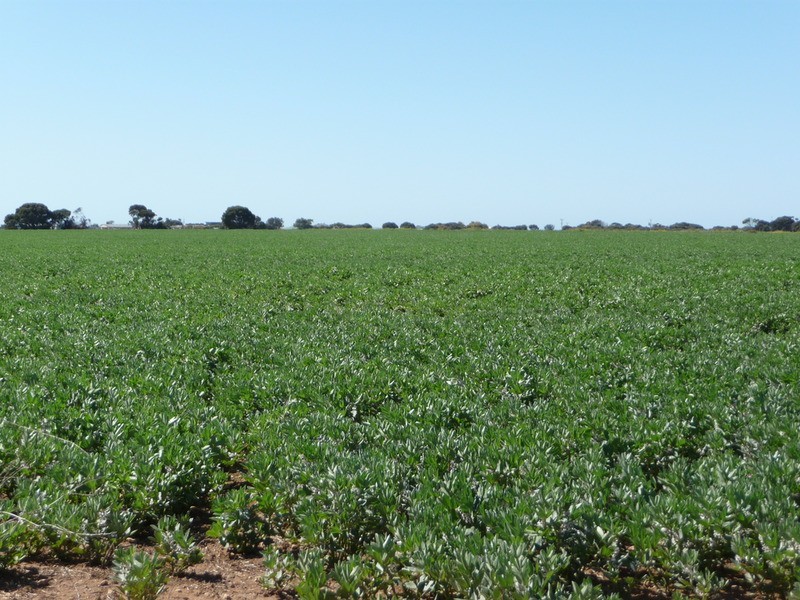 Sect 122, 448 & 449 Yorketown Road, Edithburgh SA 5583