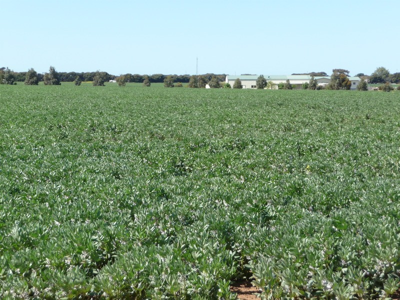 Sect 122, 448 & 449 Yorketown Road, Edithburgh SA 5583