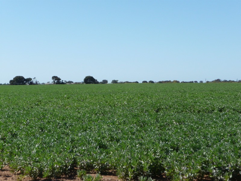 Sect 122, 448 & 449 Yorketown Road, Edithburgh SA 5583