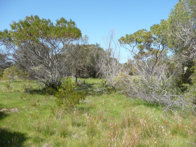 Lot 47 Second Street, Port Moorowie SA 5576