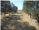 Lot 301 Adelaide Road, Stansbury SA 5582