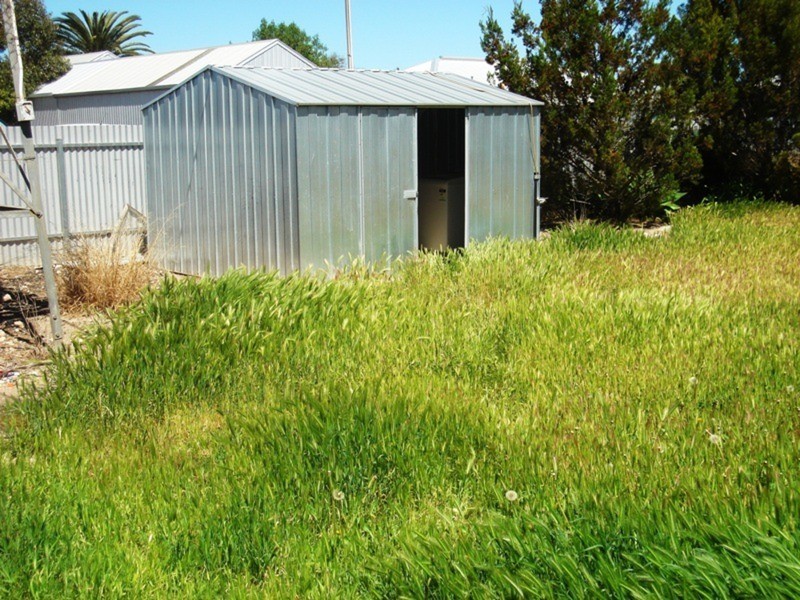 16 Main Street, Minlaton SA 5575