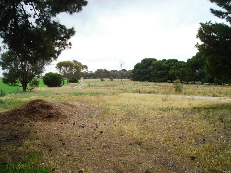 434 Old Port Vincent Road, Minlaton SA 5575