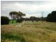 434 Old Port Vincent Road, Minlaton SA 5575