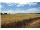 66 Minlaton Road, Yorketown SA 5576