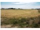 66 Minlaton Road, Yorketown SA 5576