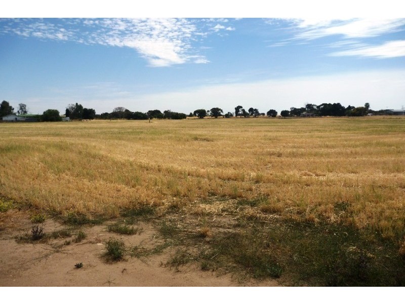66 Minlaton Road, Yorketown SA 5576