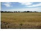66 Minlaton Road, Yorketown SA 5576