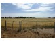66 Minlaton Road, Yorketown SA 5576