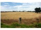 66 Minlaton Road, Yorketown SA 5576