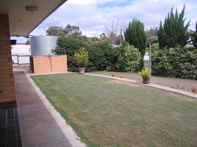 50 Warooka Road, Yorketown SA 5576