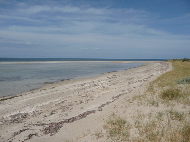 Lot 51/ , No 91 Sultana Point Road, SULTANA POINT via, Edithburgh SA 5583