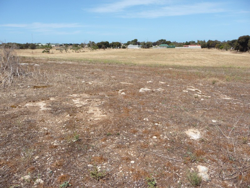 6747 St Vincent Highway, Edithburgh SA 5583