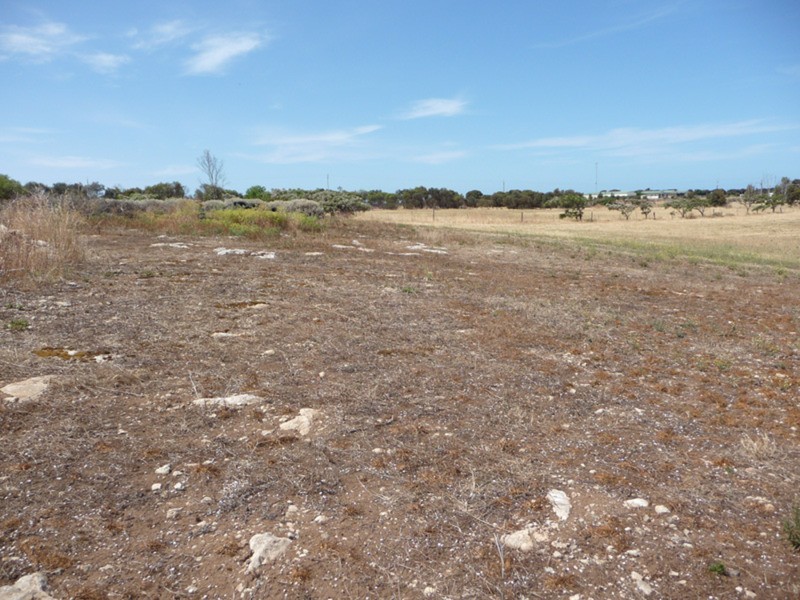 6747 St Vincent Highway, Edithburgh SA 5583