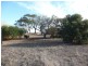 1595 Goldsmith Beach Road, Edithburgh SA 5583