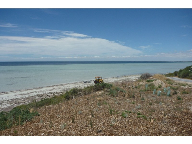 Lot 31/64 Marion Bay  Road, Corny Point SA 5575