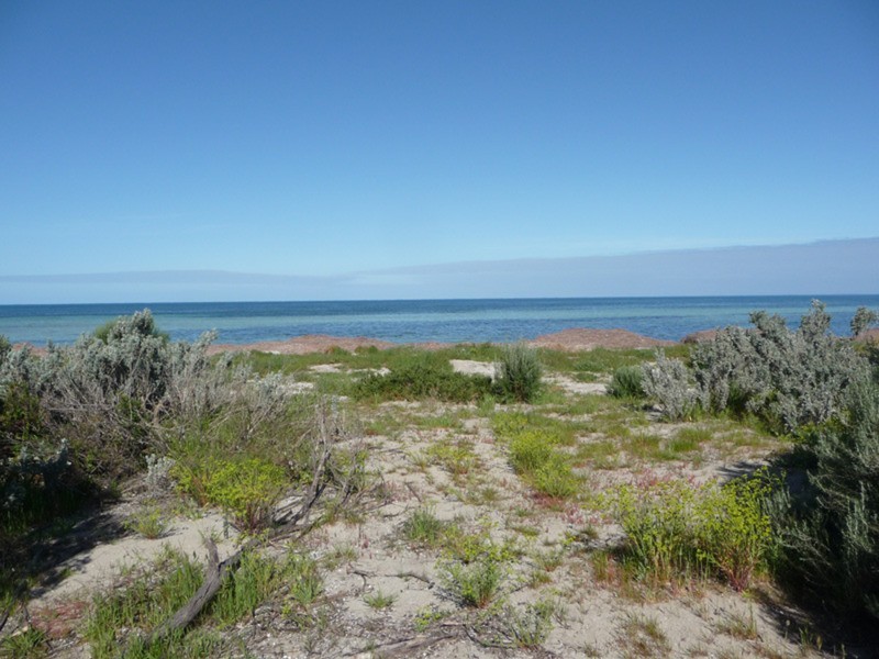 Lot 20 Diosma Drive, Foul Bay SA 5577