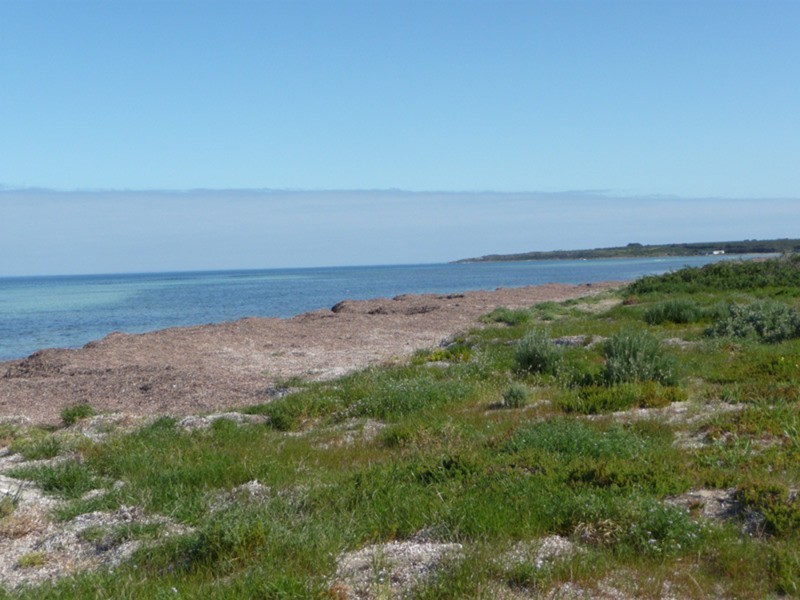 Lot 20 Diosma Drive, Foul Bay SA 5577