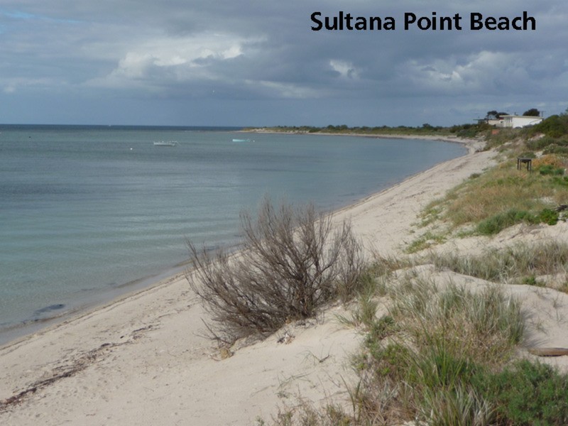 Lot 116, / 64 Sultana Point Road, SULTANA POINT via, Edithburgh SA 5583