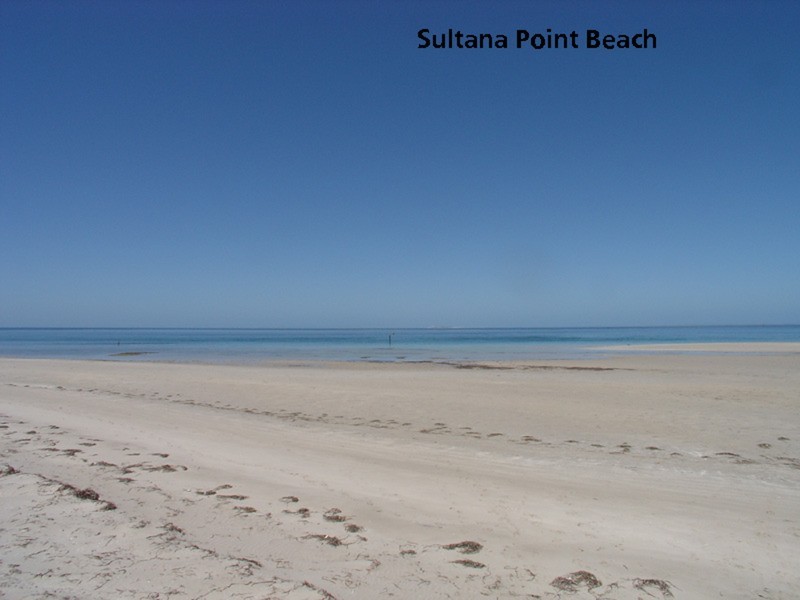Lot 116, / 64 Sultana Point Road, SULTANA POINT via, Edithburgh SA 5583
