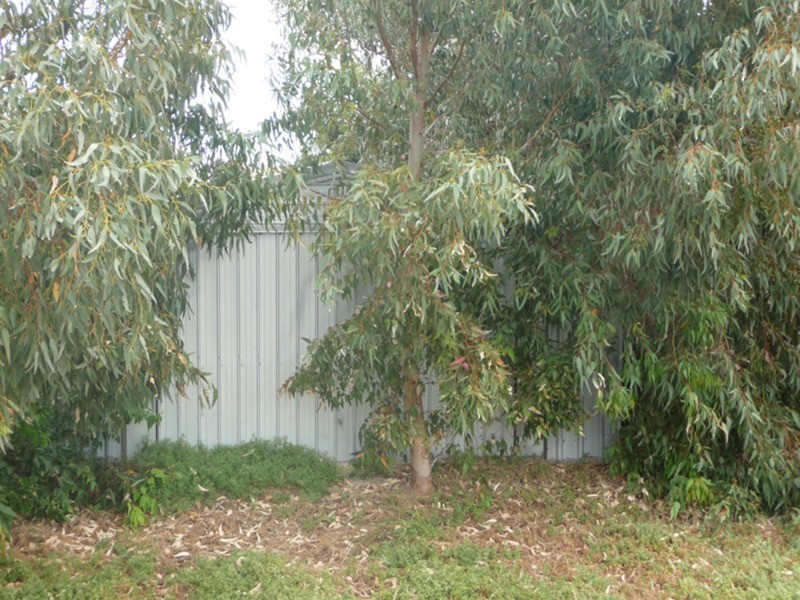 95 Beach Road, Coobowie SA 5583