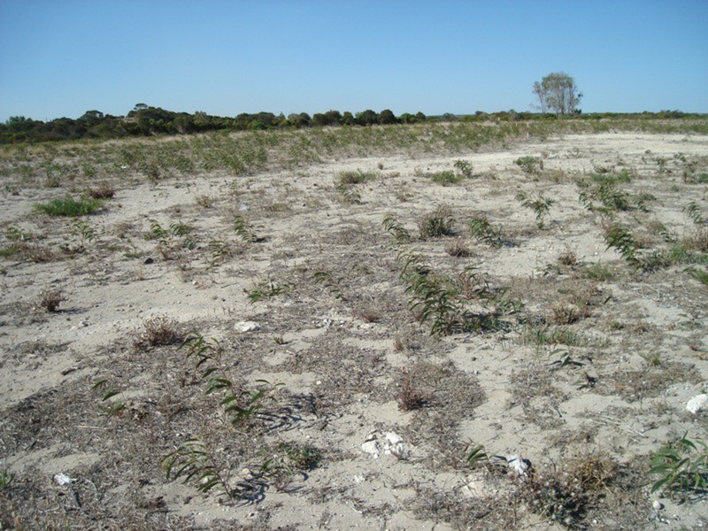 Lots 59 & 64/7 Investigator Way, Marion Bay SA 5575