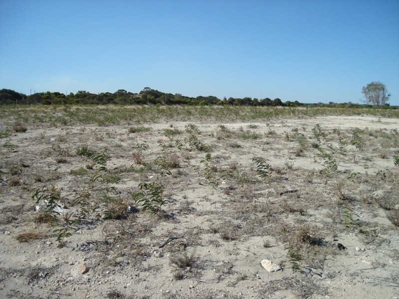 Lots 59 & 64/7 Investigator Way, Marion Bay SA 5575