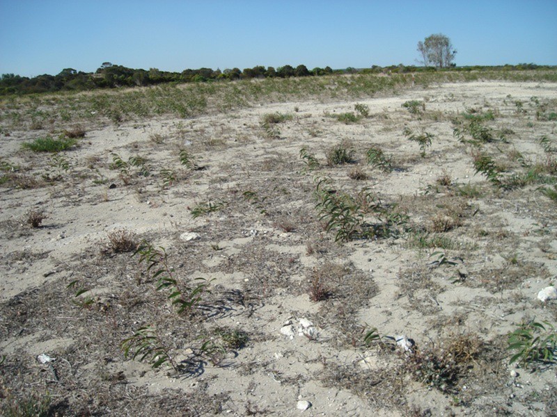 Lots 59 & 64/7 Investigator Way, Marion Bay SA 5575