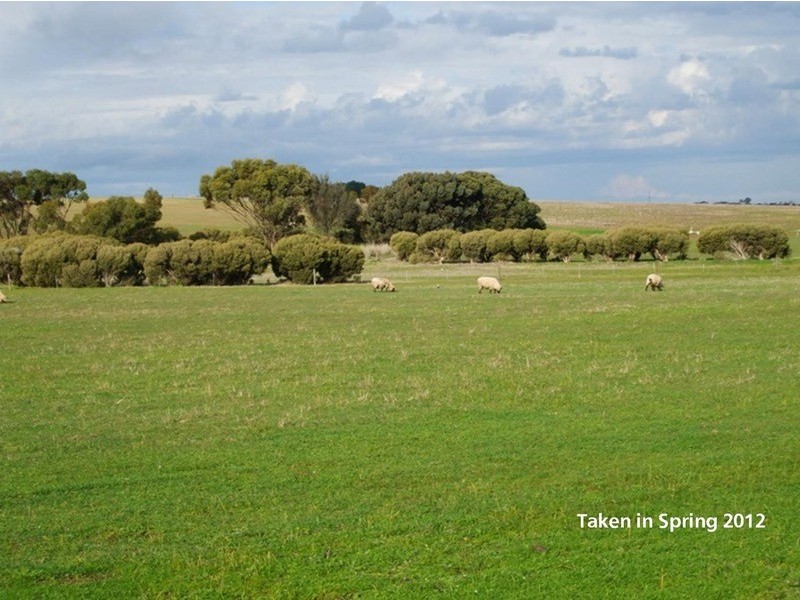 11 Ford Road, Minlaton SA 5575