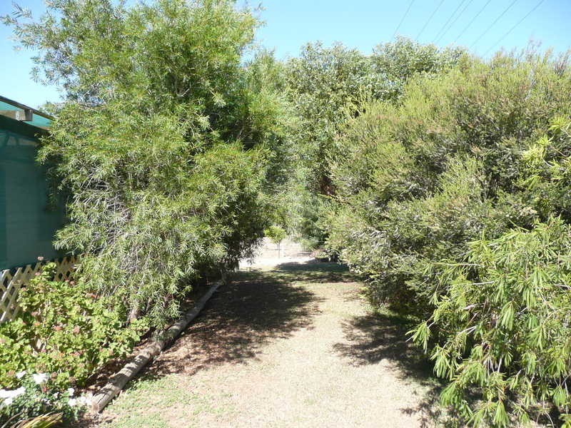 14-16 Seaview Road, Maitland SA 5573