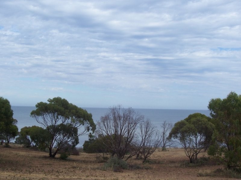 Lot 124 Coast Terrace, Tickera SA 5555