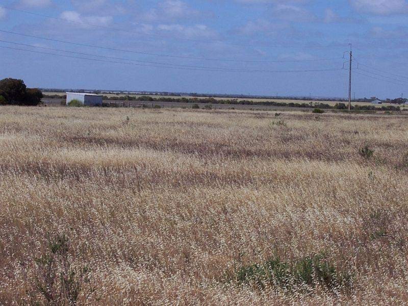 Lots/459 and 462 Kochs Road, Kadina SA 5554