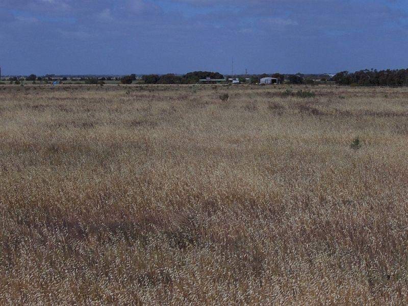 Lots/459 and 462 Kochs Road, Kadina SA 5554