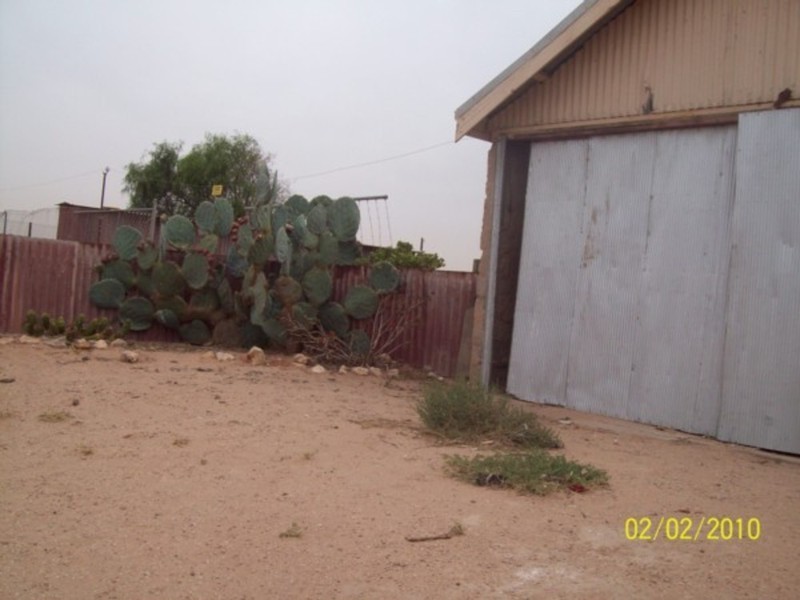 Section/71 Hundreth Of, Tickera SA 5555