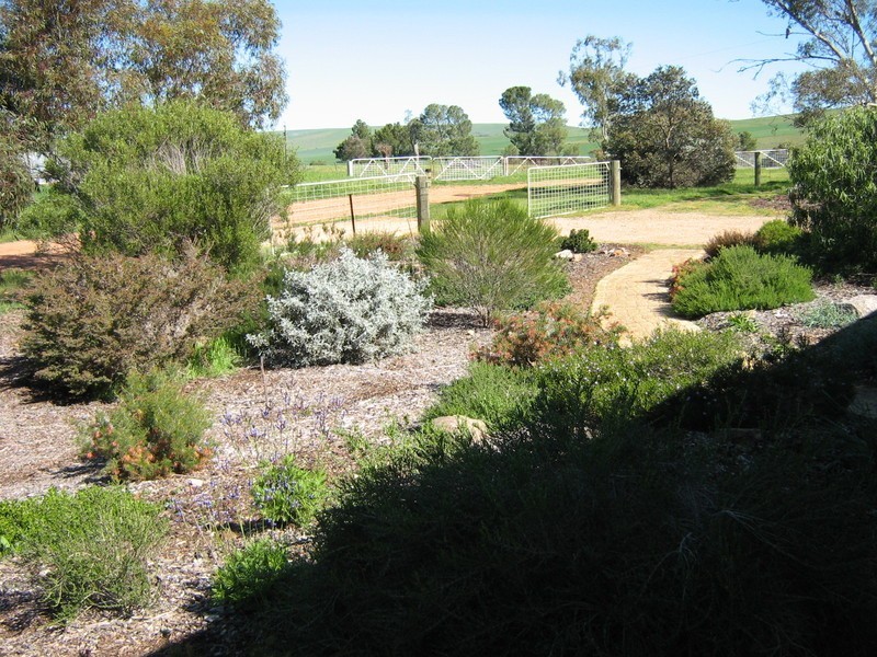 Lot 2 Koolyatta, Via Bute Road, Bute SA 5560