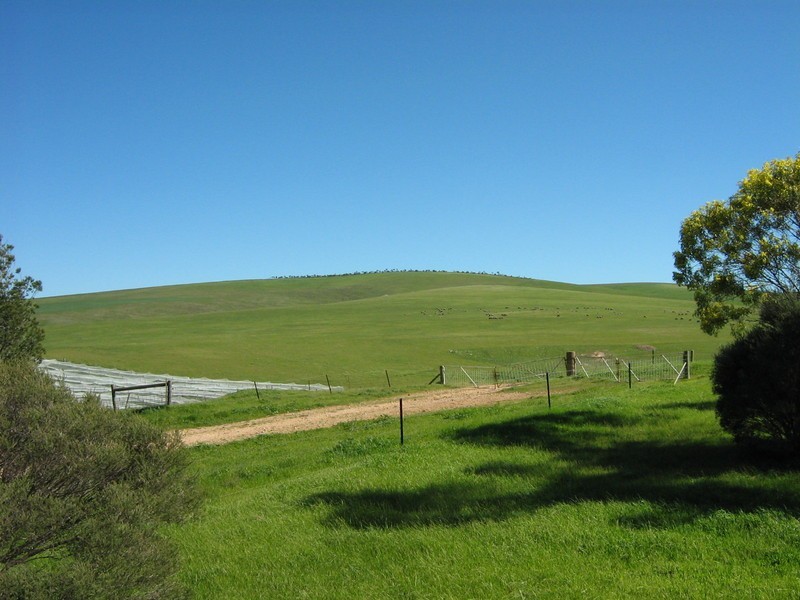 Lot 2 Koolyatta, Via Bute Road, Bute SA 5560