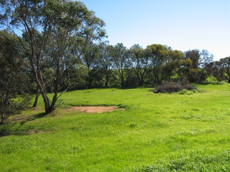 Lot 2 Koolyatta, Via Bute Road, Bute SA 5560