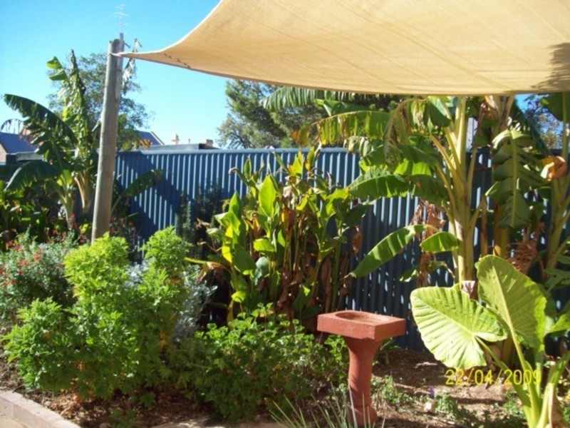 20 Caroline Street, Moonta SA 5558