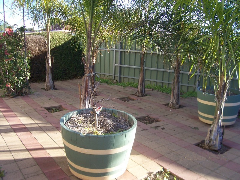 21 Port Road, Kadina SA 5554