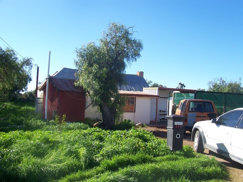 262 Young Street, Kadina SA 5554