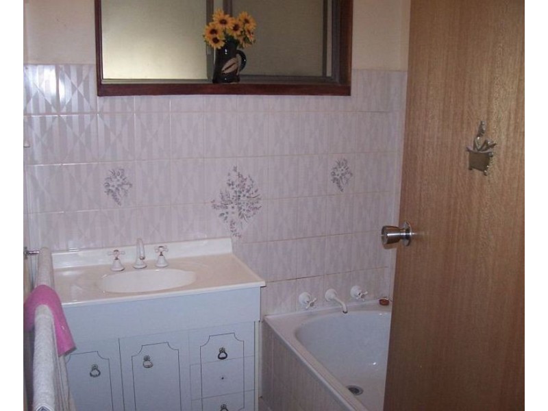 1 Frederick Street, Bute SA 5560