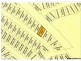 244 Gill Street, Moonta Bay SA 5558