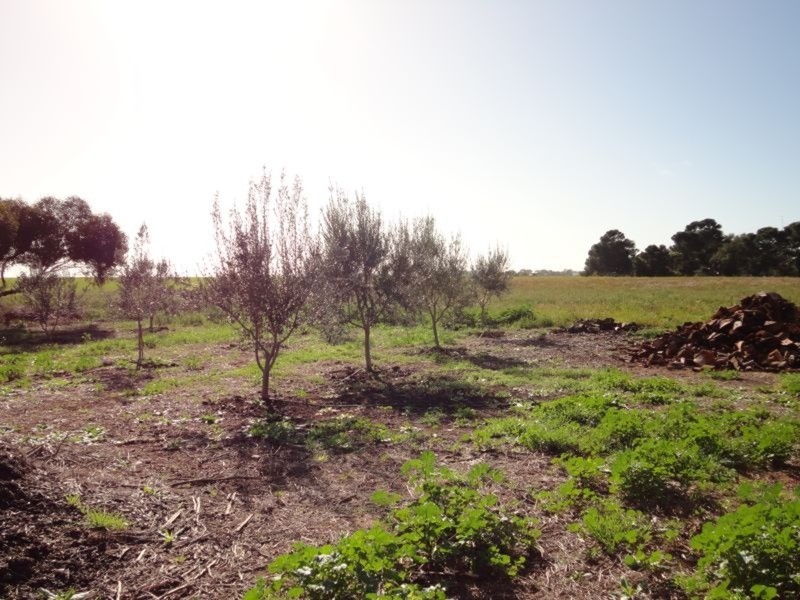 67 Moonta – Kadina Road, North Yelta SA 5558