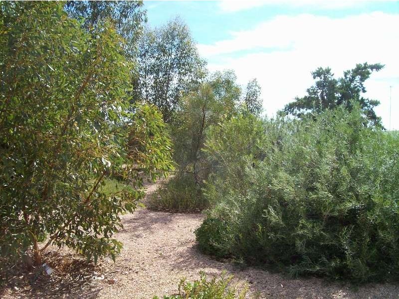 Sect 1656 Retallick Road, Moonta SA 5558