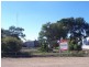 67 Railway Terrace, Paskeville SA 5552