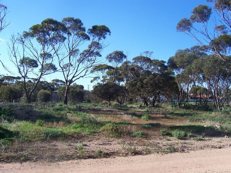 Lot 2 Fourth Street, Alford SA 5555