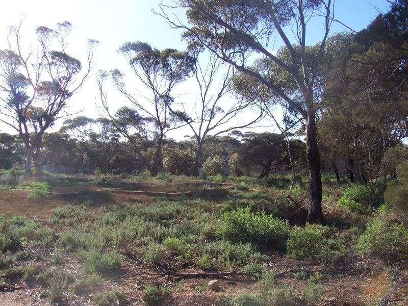 Lot 2 Fourth Street, Alford SA 5555