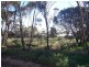 Lot 2 Fourth Street, Alford SA 5555